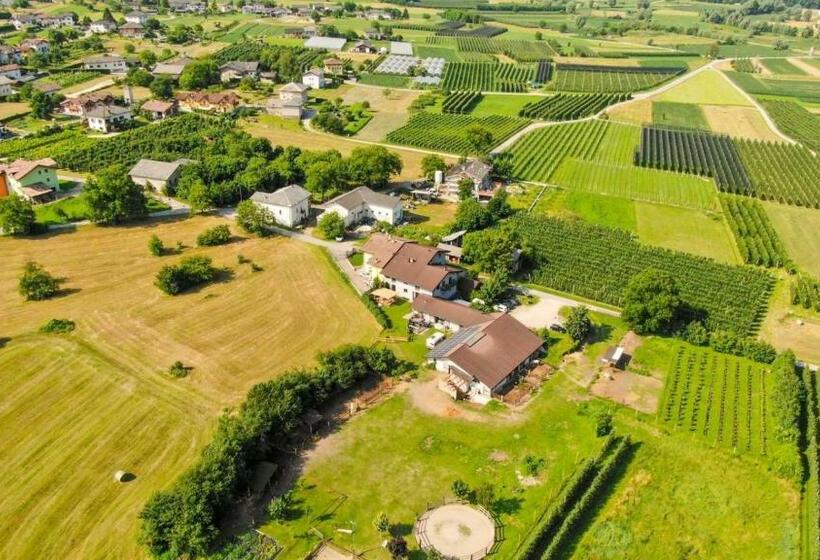 Nocleg ze śniadaniem Agritur Airone Bed & Camping