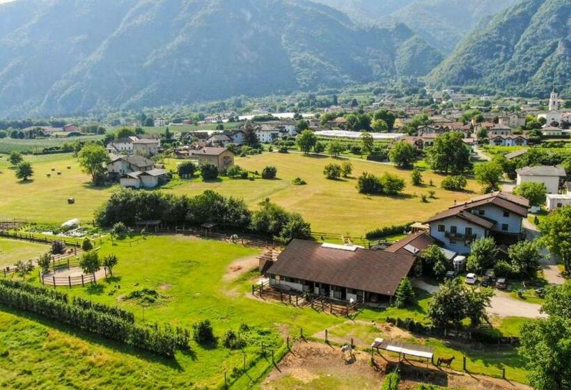 Nocleg ze śniadaniem Agritur Airone Bed & Camping