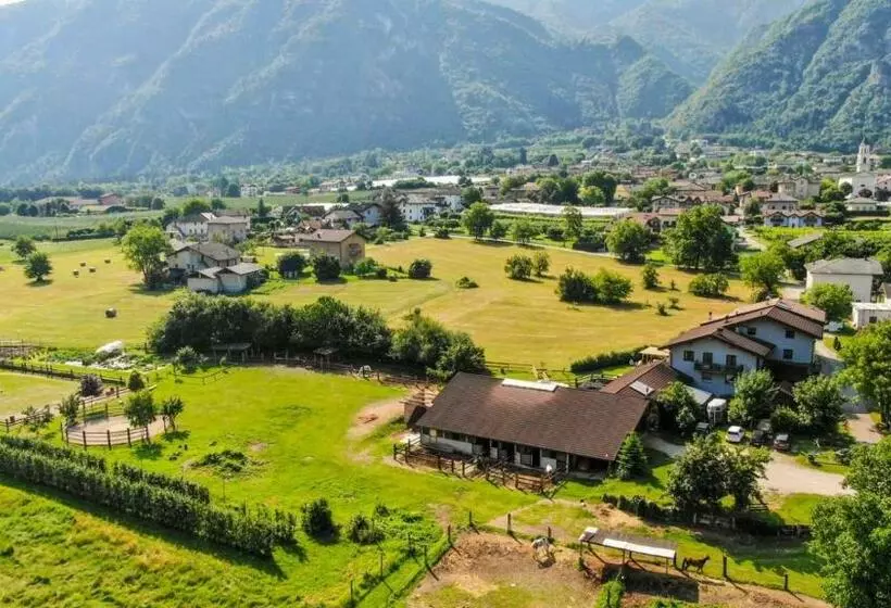 تختخواب و صبحانه Agritur Airone Bed & Camping