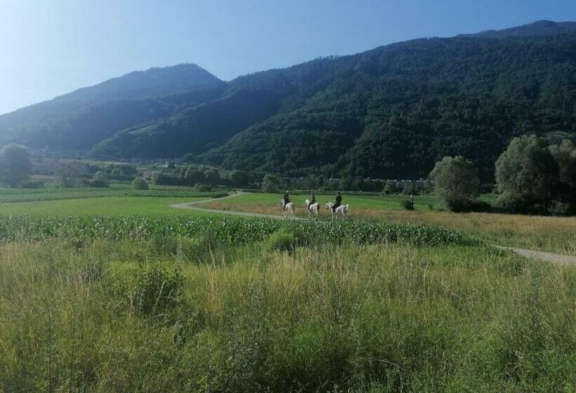 Nocleg ze śniadaniem Agritur Airone Bed & Camping