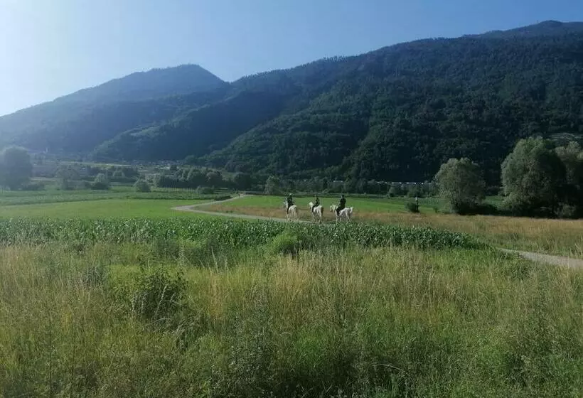تختخواب و صبحانه Agritur Airone Bed & Camping