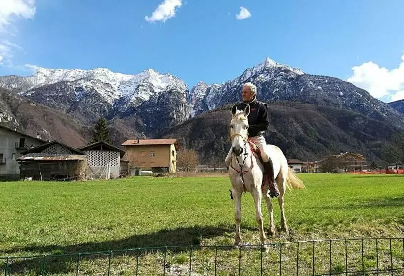تختخواب و صبحانه Agritur Airone Bed & Camping