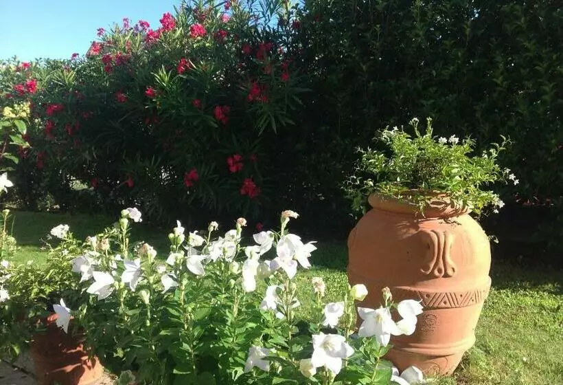 ベッドアンドブレックファースト Al Chiarè