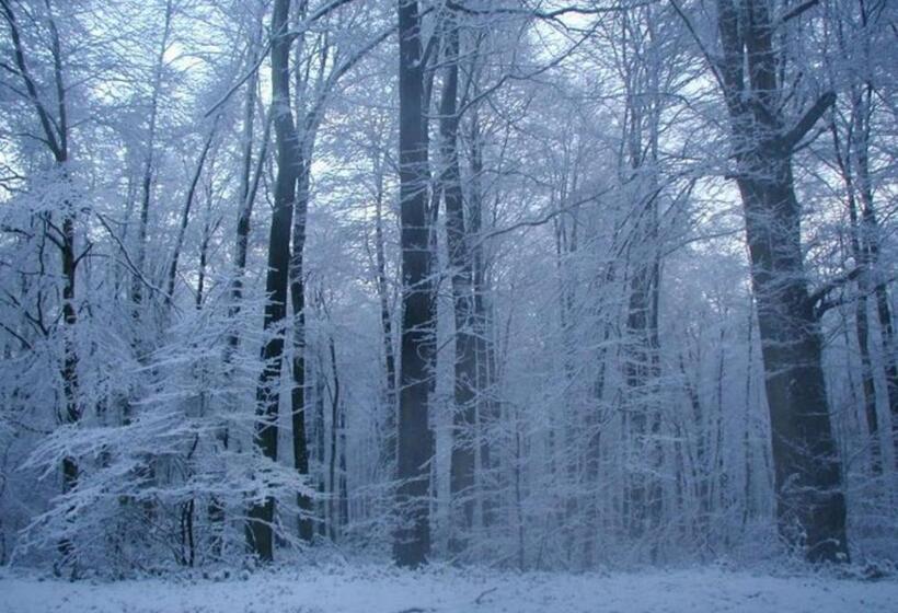 Bed and Breakfast Chambres D Hôtes La Petite Flambée