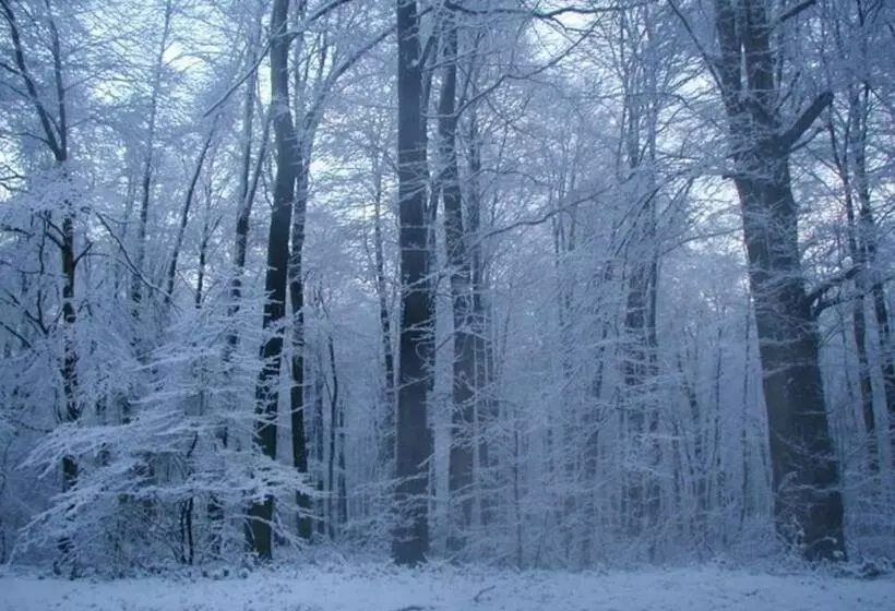 ベッドアンドブレックファースト Chambres D Hôtes La Petite Flambée