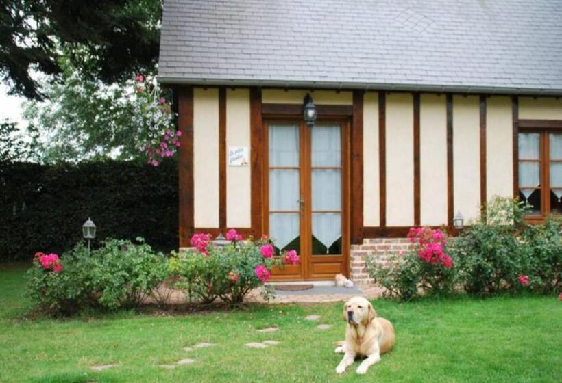 Bed and Breakfast Chambres D Hôtes La Petite Flambée