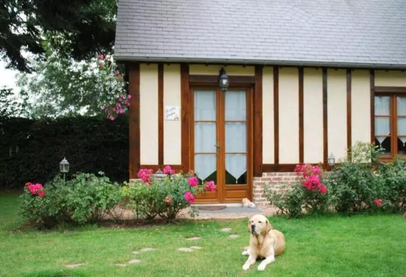 ベッドアンドブレックファースト Chambres D Hôtes La Petite Flambée