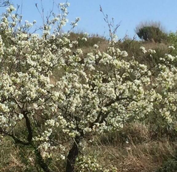 Bed and Breakfast Las Persianas Azules