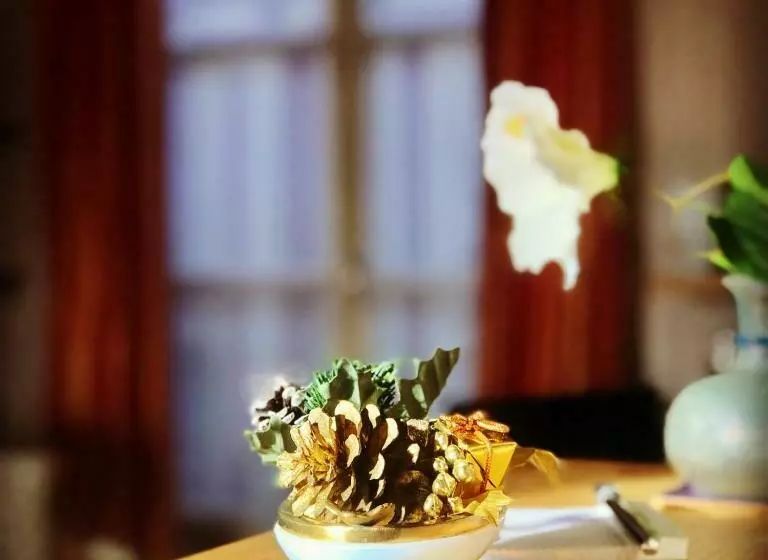 ベッドアンドブレックファースト Logis Saint Flaceau