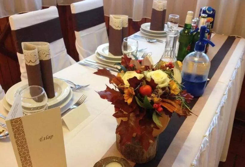 Aamiaismajoitus (B&B) Vándor Vigadó