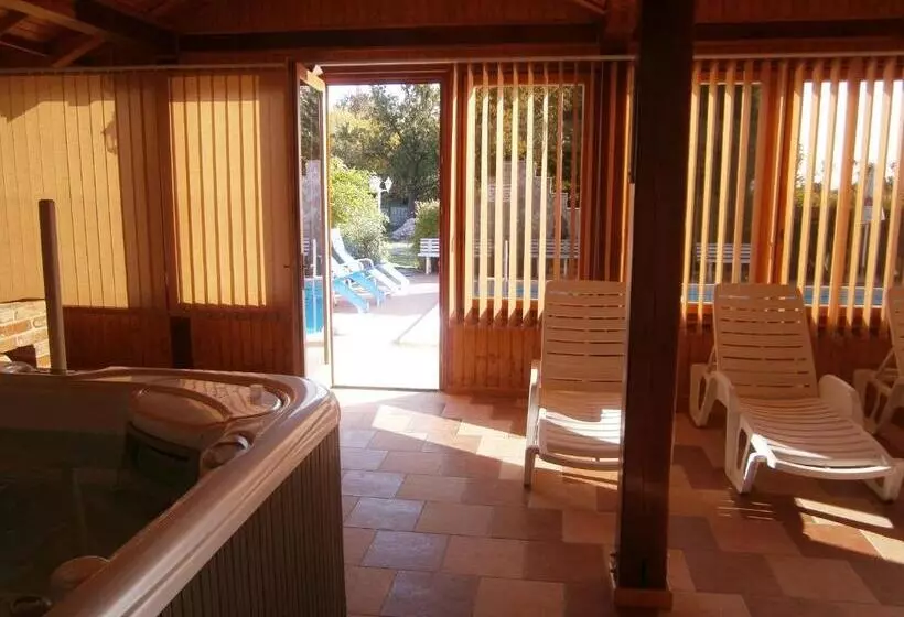 Aamiaismajoitus (B&B) Vándor Vigadó