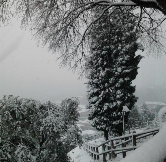 Bed & Breakfast Castello