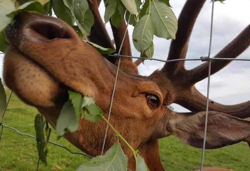 Landhotel Oberwengerhof