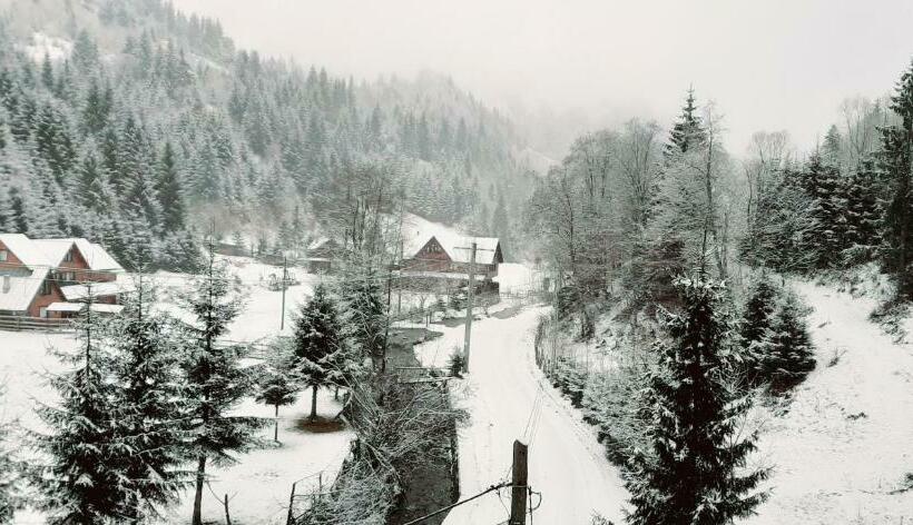 ペンション Cabana Ancutei