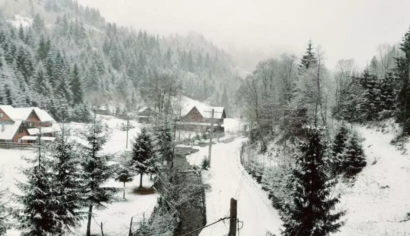 Majatalo Cabana Ancutei