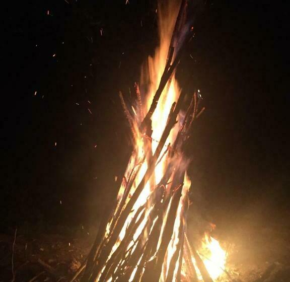 ペンション Cabana Ancutei