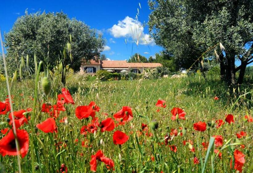 بنسيون Residence Villa Catherine