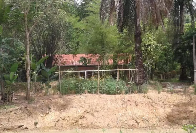 Retkeilymaja Suan Bang Bon Guest House