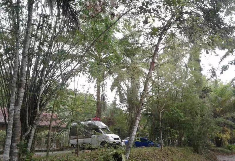 Retkeilymaja Suan Bang Bon Guest House