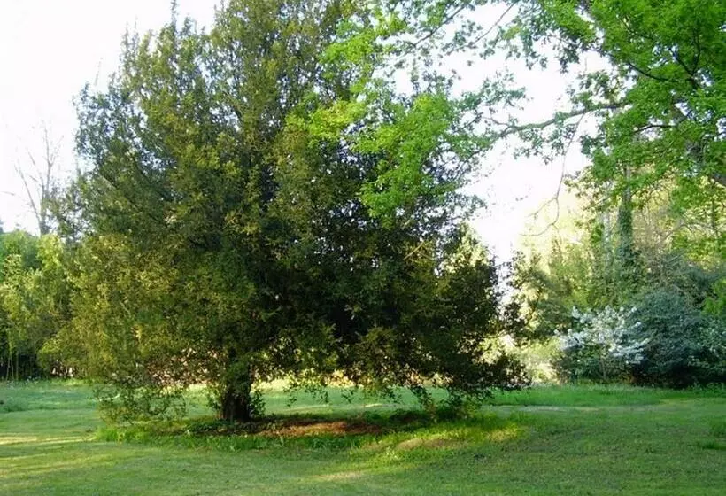 Aamiaismajoitus (B&B) Chambres D Hôtes Le Pont Romain