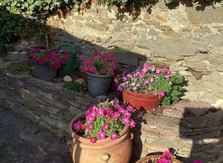 Aamiaismajoitus (B&B) Chambres D Hôtes Sous L Olivier