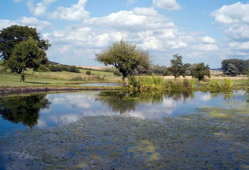 צימר La Dame Blanche