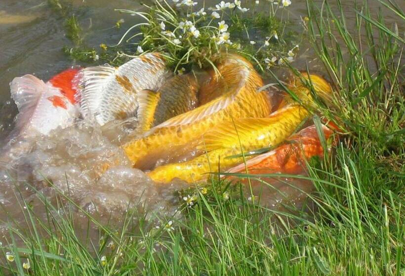 צימר La Dame Blanche