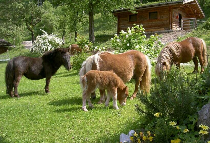 בית מלון כפרי Stallerhof