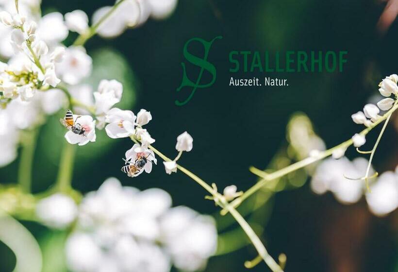 בית מלון כפרי Stallerhof