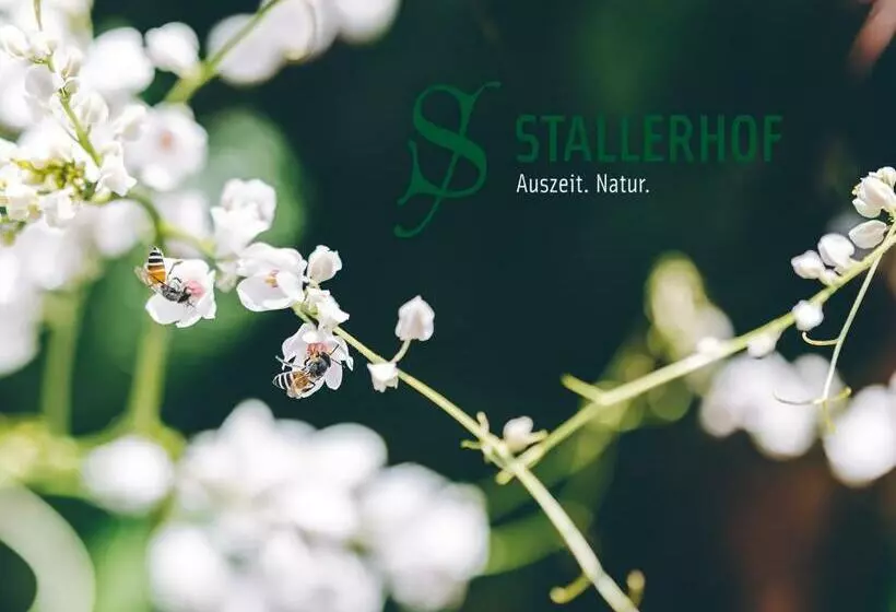 ホテル Stallerhof