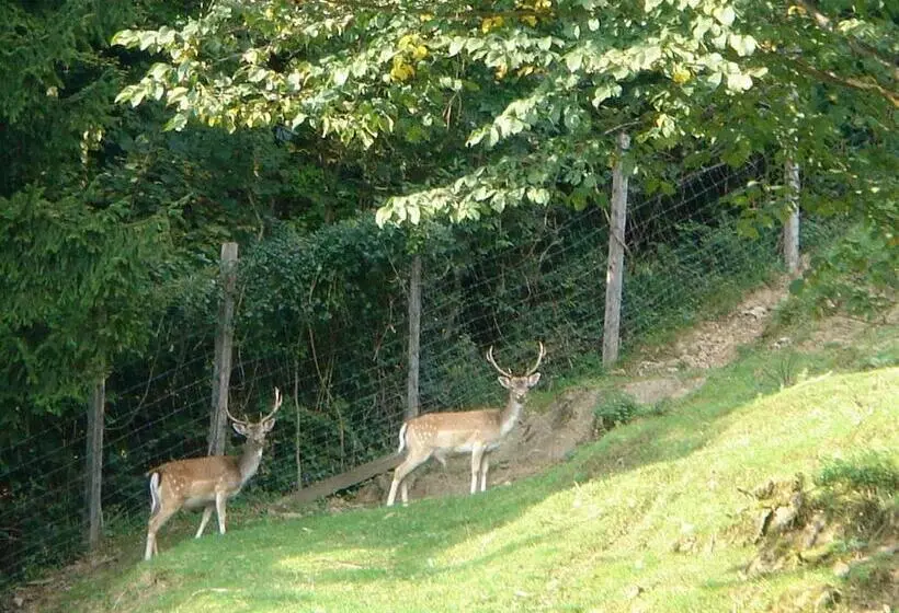 ホテル Stallerhof