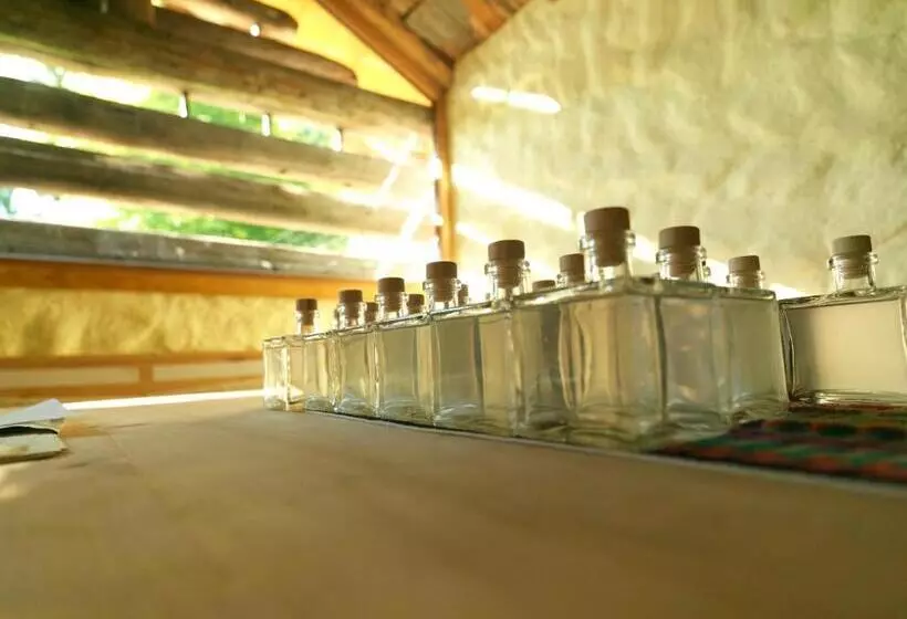 ホテル Stallerhof