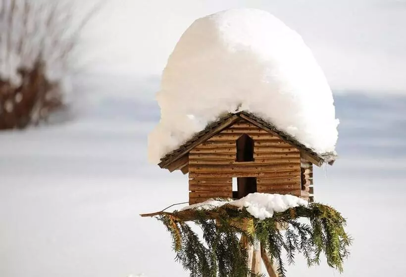 ホテル Stallerhof