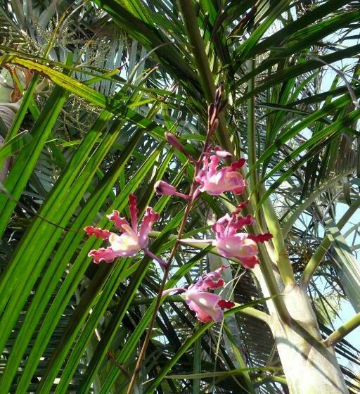 Пансион Casa De La Luz   Guesthouse