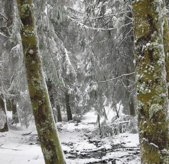 ペンション Estrela