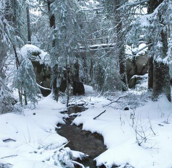 ペンション Estrela