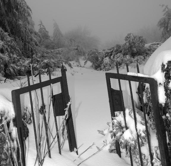 ペンション Estrela