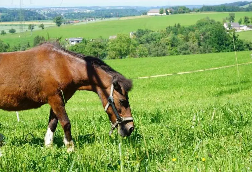Majatalo Familienbauernhof Salmanner