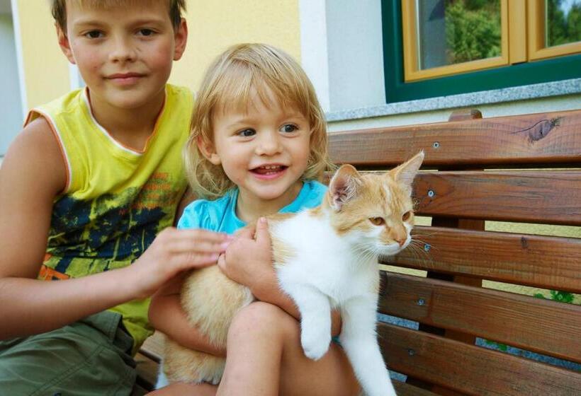 Пансион Familienbauernhof Salmanner