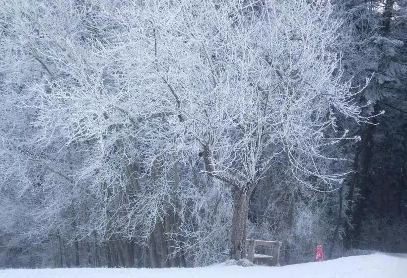 Majatalo Familienbauernhof Salmanner