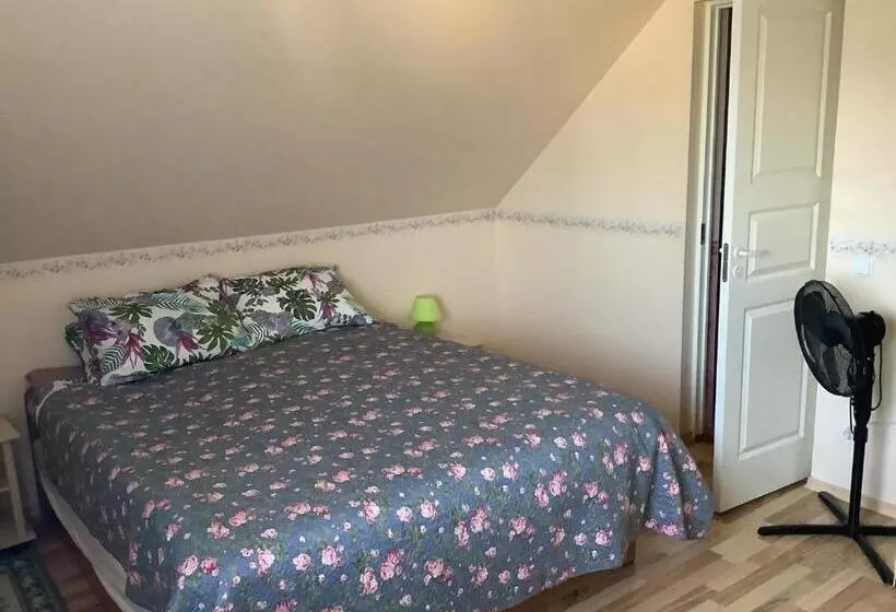 پانسیون Lana House