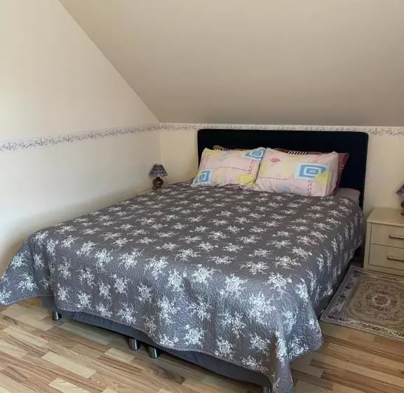 پانسیون Lana House