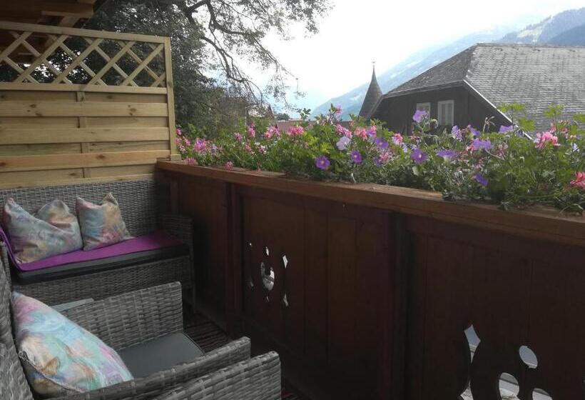 酒店 Mesnerhof Virgen