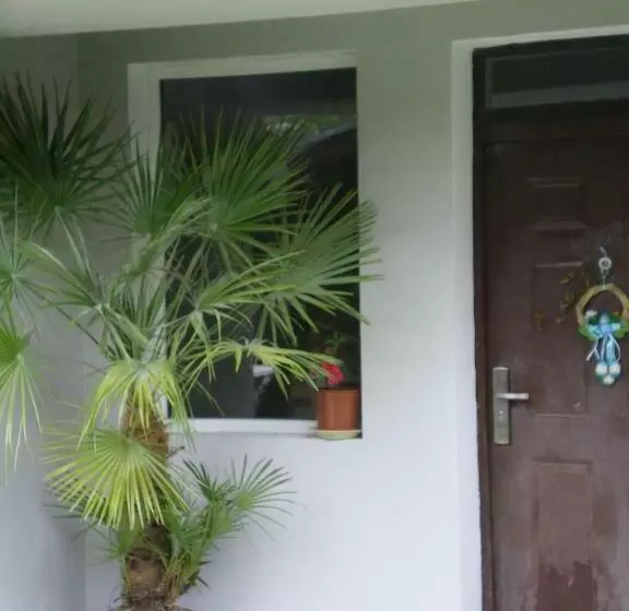 ペンション Guest House Bojana