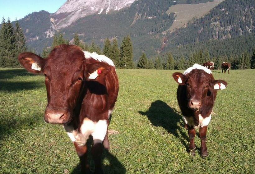 Пансион Payrhof