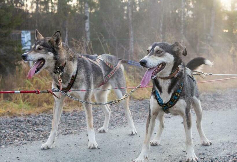 Пансион Villa Lanca Activities