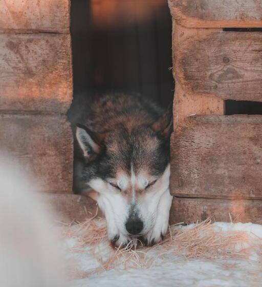 Пансион Villa Lanca Activities