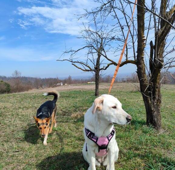 호텔 B&b Naturin   Cascina Colombaro