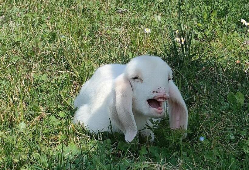 호텔 B&b Naturin   Cascina Colombaro