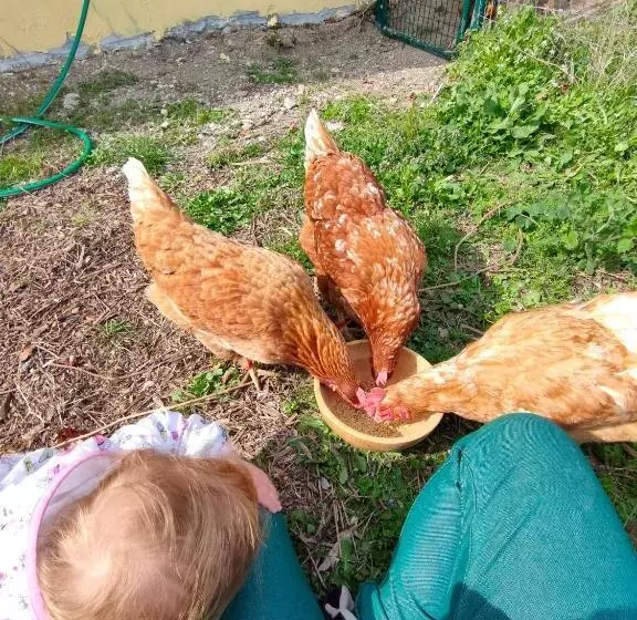 ホテル B&b Naturin   Cascina Colombaro